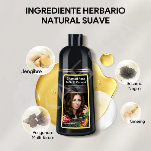 Black Hair Dye Shampoo 3 en 1